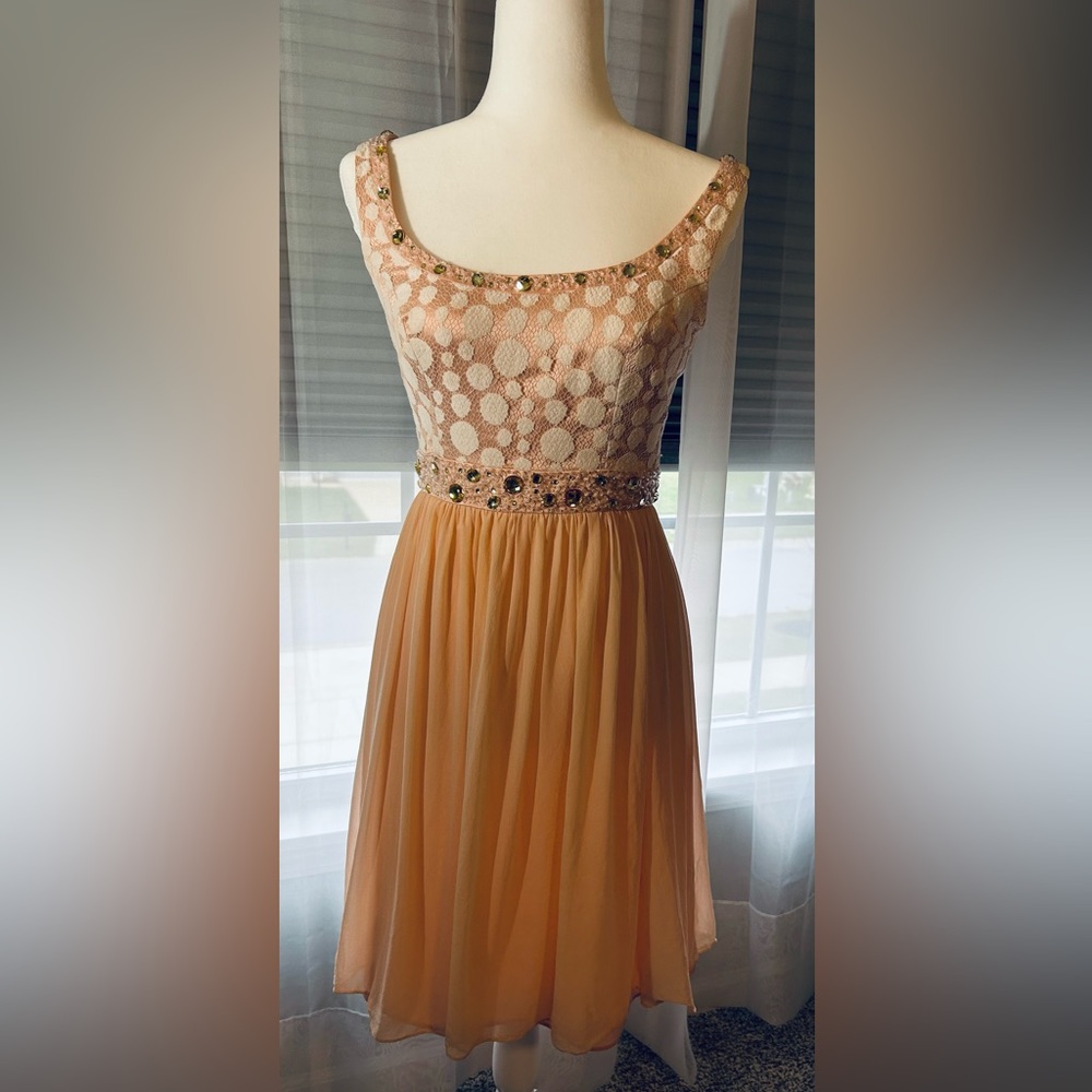 ANTONIO MELANI Blush Pink Evening Dress